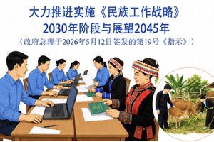 大力推进落实《2030年阶段和展望2045年的民族工作战略》