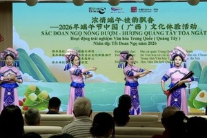 “浓情端午·佳韵飘香”中国文化体验活动架起越中青年友谊桥梁