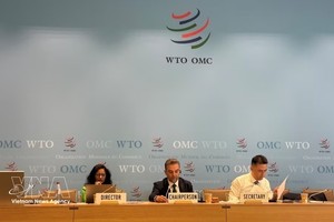 《信息技术协定扩围协议》（ITA2）缔约方委员会在日内瓦世界贸易组织（WTO）总部召开正式会议。会议议程之一是讨论越南决定加入ITA2的相关事宜。