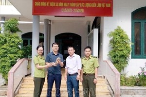  接收上泽乡人委会移交的爪哇穿山甲。图：越通社。