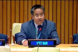 越南常驻联合国代表团副团长阮海流公使出席会议并发表讲话。