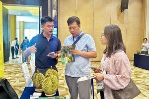  企业在研讨会上进行商务对接。（清蓉摄）