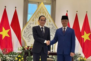 印度尼西亚外交部长苏吉约诺与越南外交部长黎怀忠共同主持越印双边合作委员会第六次会议。图自越通社。