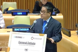越南常驻联合国代表团副团长阮海刘公使在会上发表讲话。图自越通社。