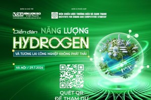“氢能与零排放工业未来”论坛的海报。图自越通社