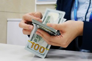 8月7日上午，越南国家银行公布的越盾兑美元中间汇率继续大幅上调。示意图。图自越通社。