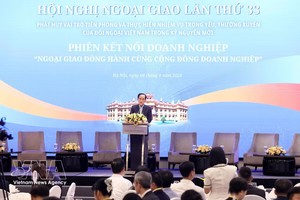 越南外交部长黎怀忠发表讲话。图自越通社