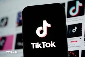 附图。图自越通社