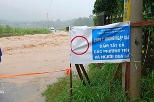 清化省一条道路被水淹没。图自越通社