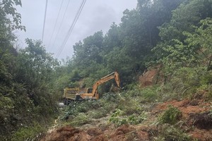 清化省暴雨洪水造成山区山体滑坡，导致道路中断。图自越通社