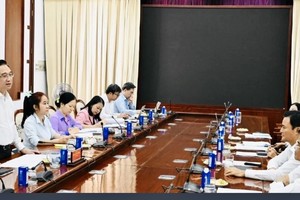 胡志明市市委监查落实第57号《决议》及数字化转型任务