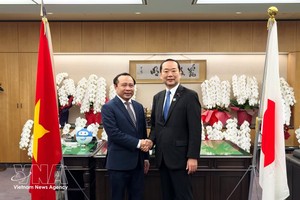 越南政府副总理兼科技部部长武海军（左）与日本总务大臣藤井久之共同出席会晤。图：越通社