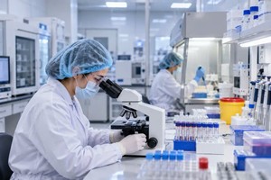 实验室工作人员正在检测病患样本。示意图
