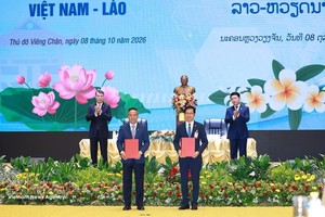越南政府总理黎明兴和老挝政府总理沙伦塞·贡马西共同见证两国有关机构和企业移交和签署17项投资许可证及项目合作协议。图片来源：越通社
