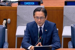 越南常驻联合国代表团团长杜雄越大使在会上发言。图自越通社