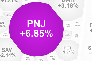 PNJ股价连续下跌13个交易日后涨停。