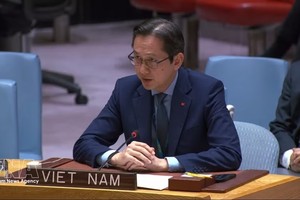 越南呼吁全面落实加沙地带协议并推动中东实现全面和平