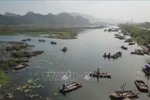 宁平省云龙湿地自然保护区。垂蓉/越通社