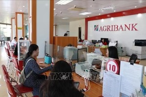 自10月19日起，Agribank实施贷款降息计划，贷款年利率较一般水平最高下调2%。资料图片：越通社