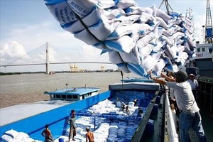 在西贡港装卸出口大米。图自越通社。
