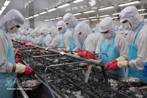 水产业是VEFTA生效后受益明显的行业之一。图自越通社
