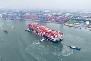 长近365米的YM WAYFINDER号在拖船协助下驶入新港－丐密国际港（TCIT）。成辉摄