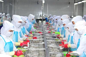 Chế biến và xuất khẩu thủy sản là ngành kinh tế mũi nhọn của tỉnh Cà Mau