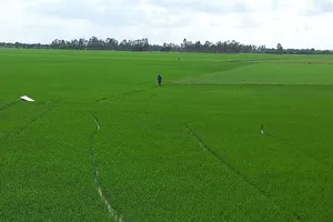 Quy hoạch đất sạch phát triển nông nghiệp ứng dụng công nghệ cao