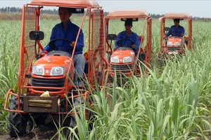 TTC AgriS đồng hành người trồng mía Tây Ninh