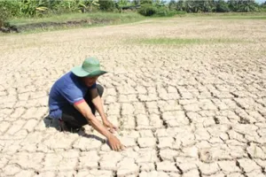 Thủ tướng yêu cầu ứng phó nguy cơ hạn hán, thiếu nước, xâm nhập mặn