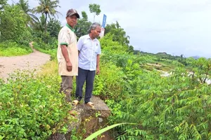 Vụ “Nguy cơ sông nuốt làng”: Đầu tư khẩn cấp 1km kè