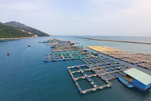 Làng bè chắn luồng tàu 