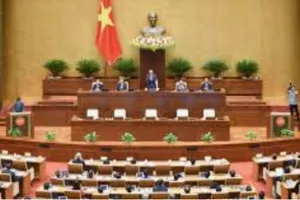 Nâng cao tính dự báo