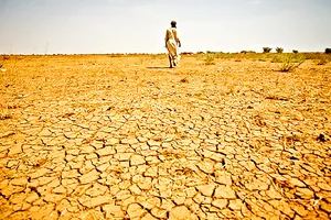 Vì một thế giới không suy thoái đất