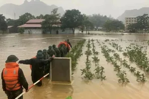 Mưa lũ dị thường, cần ứng phó sớm và dự báo chính xác hơn