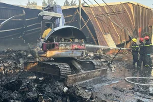 Cảnh báo tai nạn lao động trong xưởng gỗ