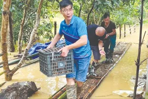 Miền Bắc: Nhiều nơi bị sạt lở, ngập nước 