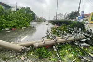 Bão số 3 đã làm hư hỏng hệ thống điện trên địa bàn tỉnh Quảng Ninh