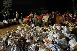 Người dân và lực lượng chức năng ứng phó vỡ đê sông Lô tại Tuyên Quang