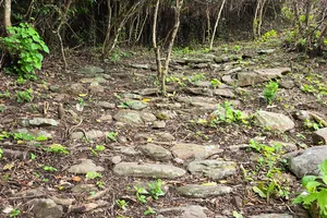 Phát lộ đường đá cổ trên đường thiên lý Bắc - Nam xưa tại Đèo Ngang