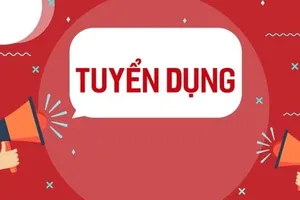 UBND quận Bình Tân thông báo thi tuyển