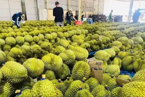 Việt Nam nhận hơn 1.000 thông báo điều chỉnh an toàn thực phẩm từ các nước trong năm 2024