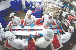  Từ quốc gia nghèo đến nền kinh tế phát triển nhanh nhất - Bài 1: Khó khăn, thách thức và đổi mới