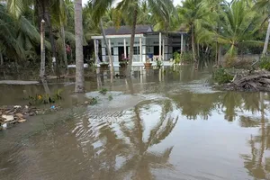 Triều cường dâng cao tại xã Bình Khánh, huyện Mỏ Cày Nam, làm nhiều tuyến đường bị ngập