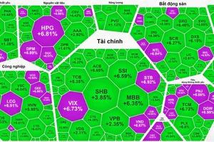 Tiền ồ ạt đổ vào mua cổ phiếu, VN-Index tăng gần 55 điểm