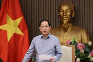 Phó Thủ tướng Bùi Thanh Sơn chủ trì họp Ban chỉ đạo quốc gia về ODA và vốn vay ưu đãi