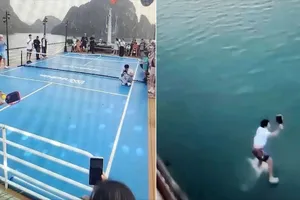 Để du khách chơi Pickleball rơi xuống biển, chủ tàu bị phạt 12,5 triệu đồng 