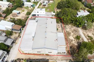 Vụ người dân "tố" xưởng mực bốc mùi hôi thối: Đề nghị chấm dứt hoạt động, thu hồi giấy phép