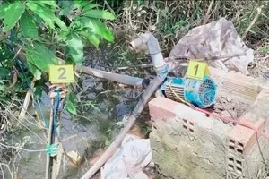 Bơm nước cho vịt tắm, 2 người tử vong nghi do điện giật
