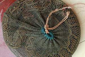 Trăn đất được bàn giao cho cơ quan chức năng để thả về tự nhiên 